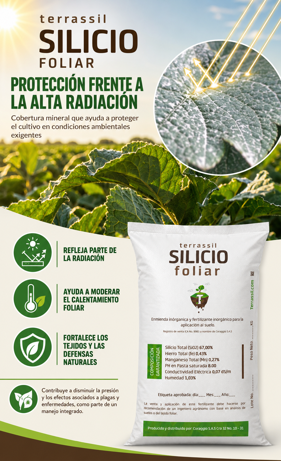 Infografía de Silicio Foliar para protección ante alta radiación