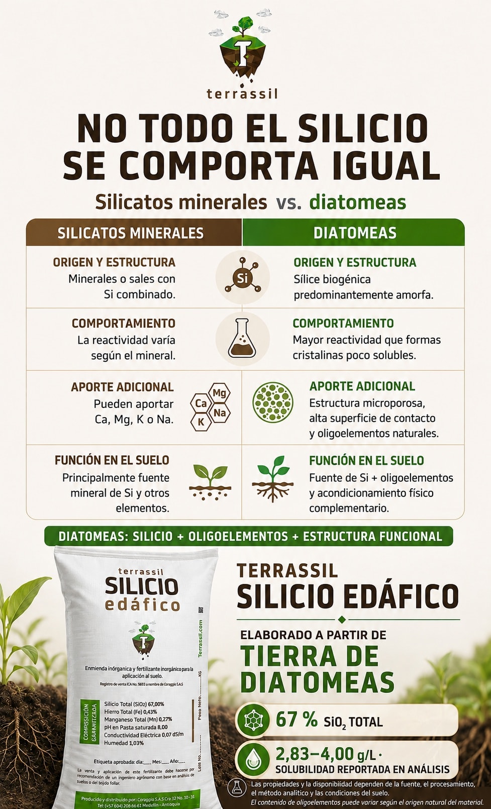 Infografía comparativa de silicatos minerales y diatomeas