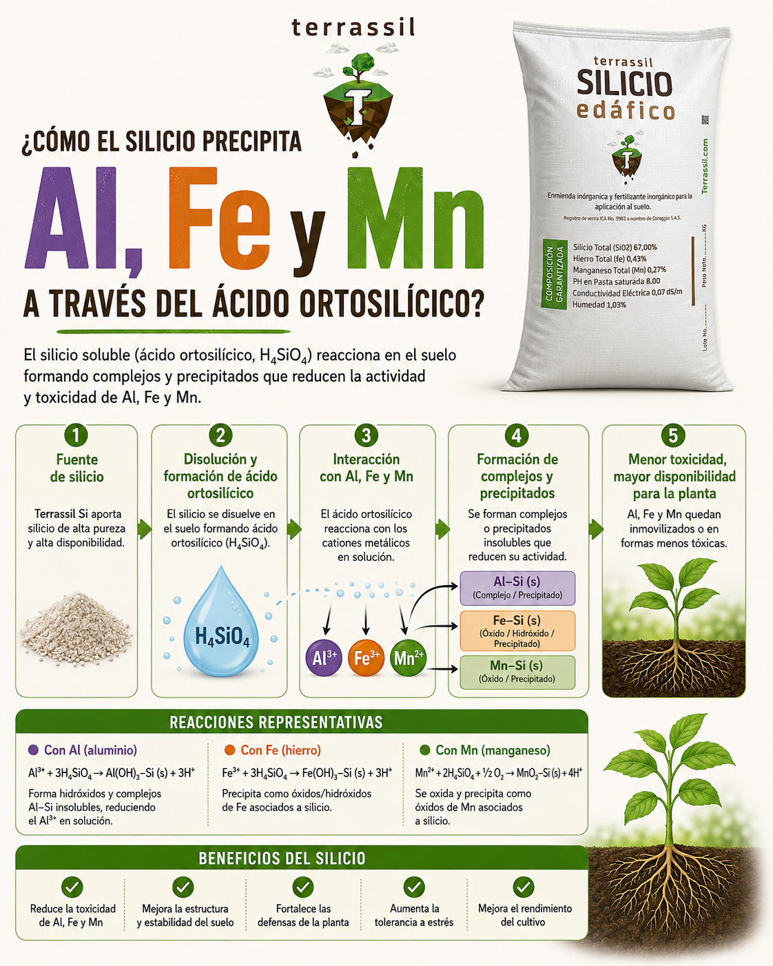 Infografía sobre el efecto de Terrassil en el suelo