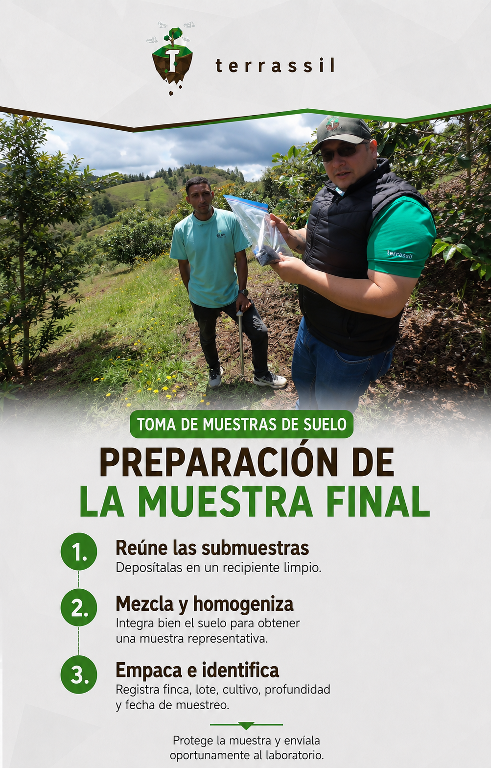 Infografía sobre preparación de la muestra final de suelo