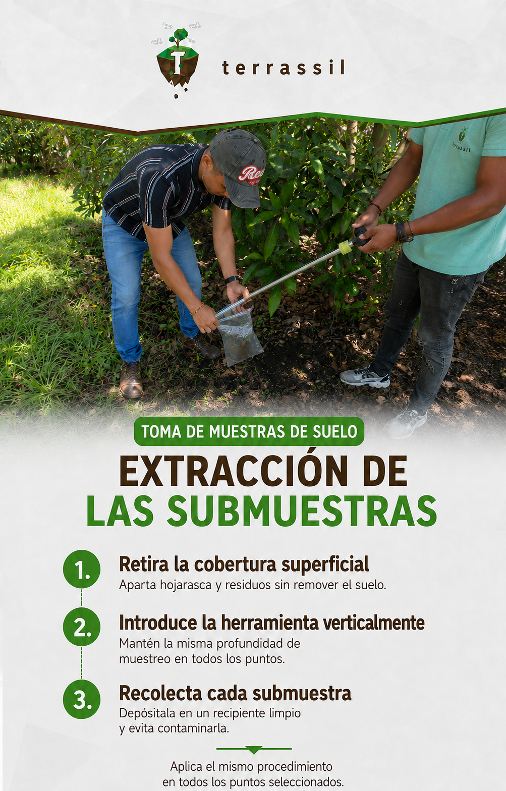 Infografía sobre extracción de submuestras de suelo