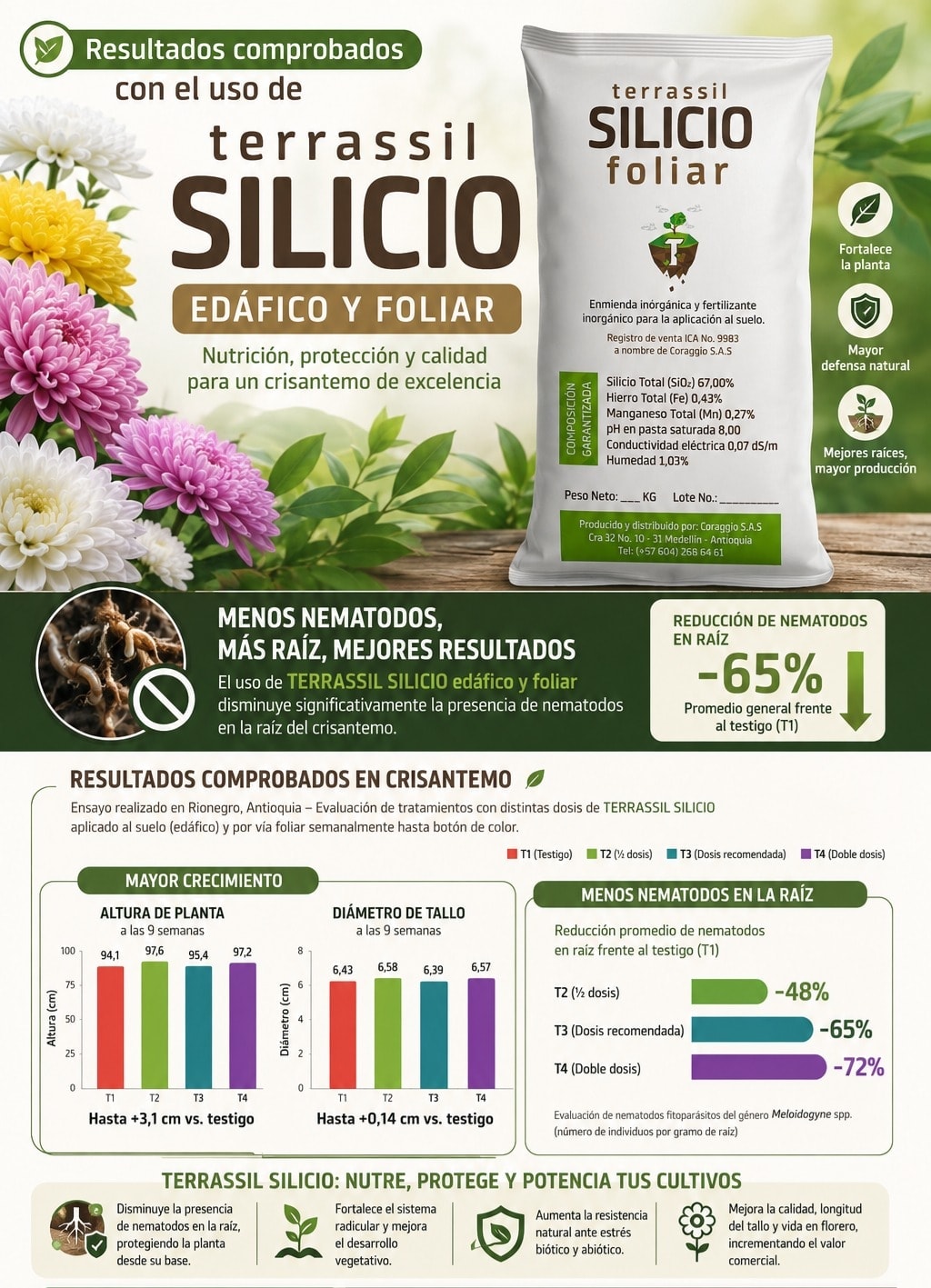 Pieza informativa con resultados de silicio foliar en crisantemo