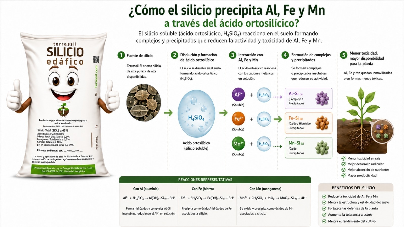 Infografía sobre silicio edáfico y reducción de aluminio en el suelo